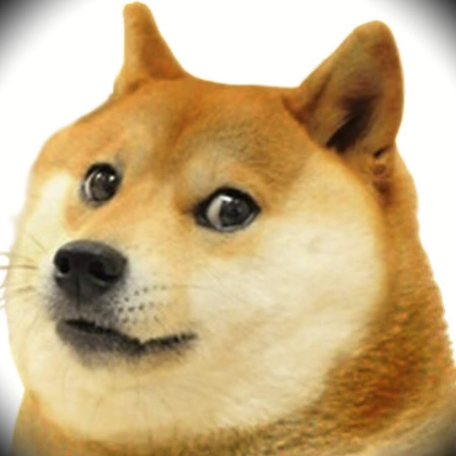 Doge Gamer - YouTube