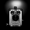 Cleomene's photography