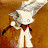 goldensun003 avatar