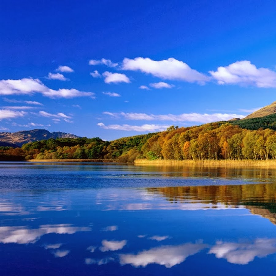 ����� �������� �� ������� ��� �������� ������� ������ ����� ����������