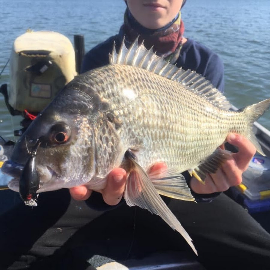 Coastal Fishing Australia YouTube