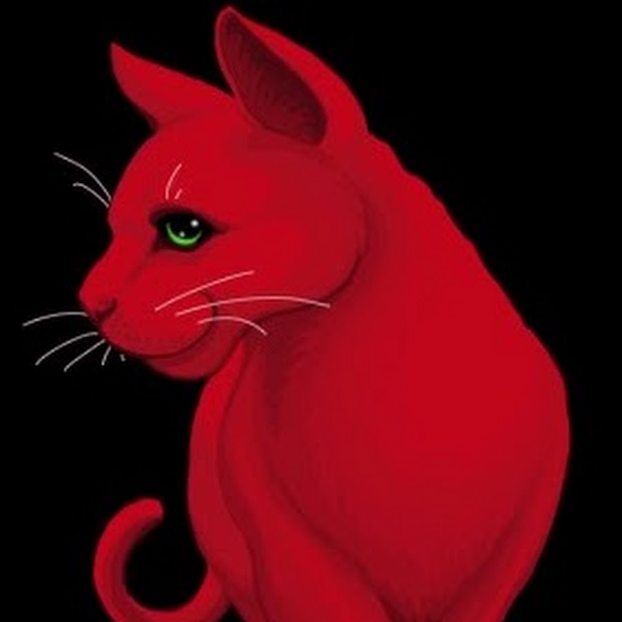 Покажи red cat. Ред Кэт в реальной жизни. Red Cat в реальной жизни. Ред Кэт лицо. Лицо ред кета.