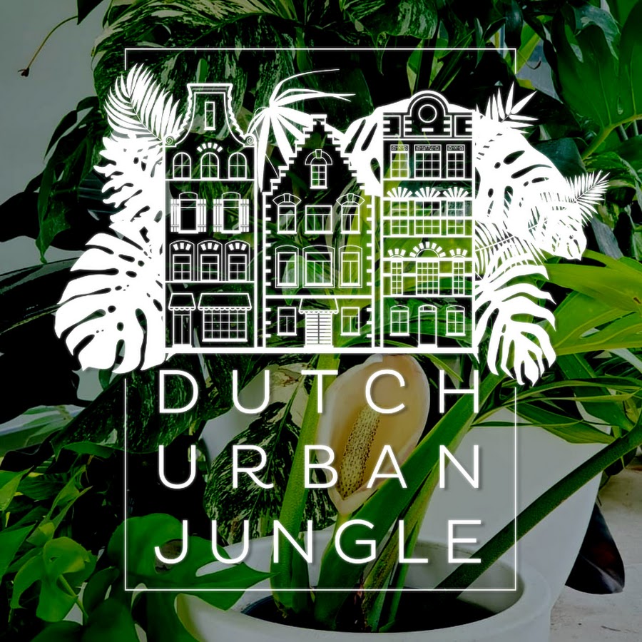 Dutch Urban Jungle - YouTube