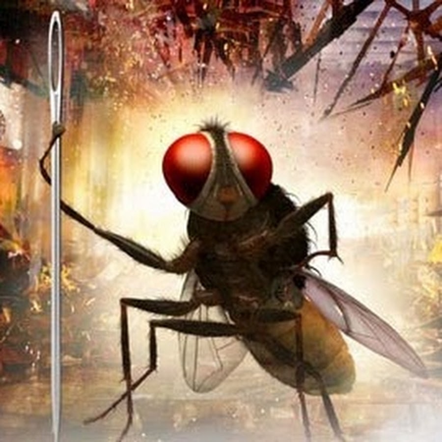 Makkhi Movie - YouTube