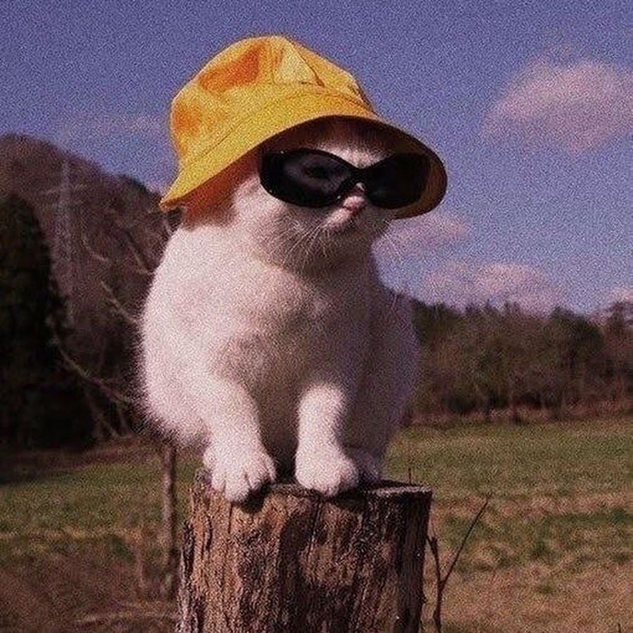 Alexander쀼 - YouTube