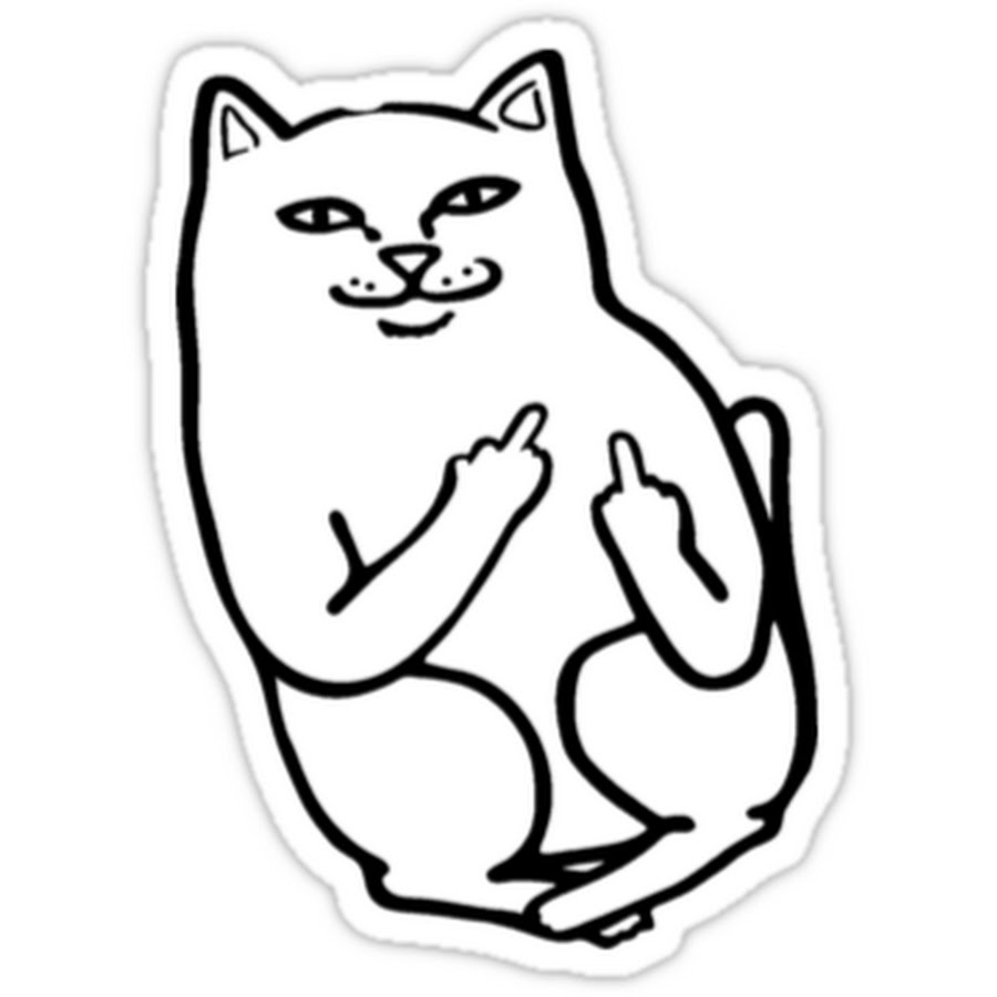 Рисунки. Кот показывает средний палец. Картинки для срисовки котики. Кот мем раскраска. Мемы из котов.