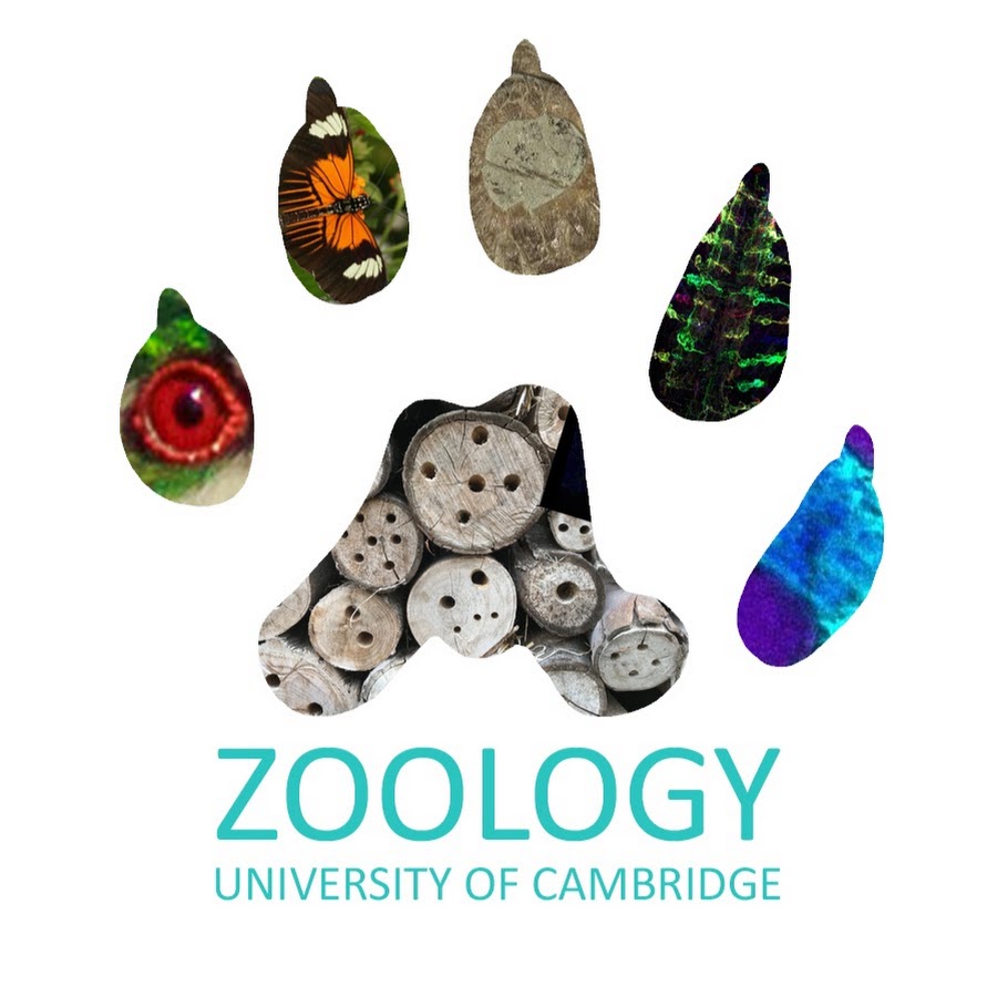 Dept of Zoology, University of Cambridge YouTube