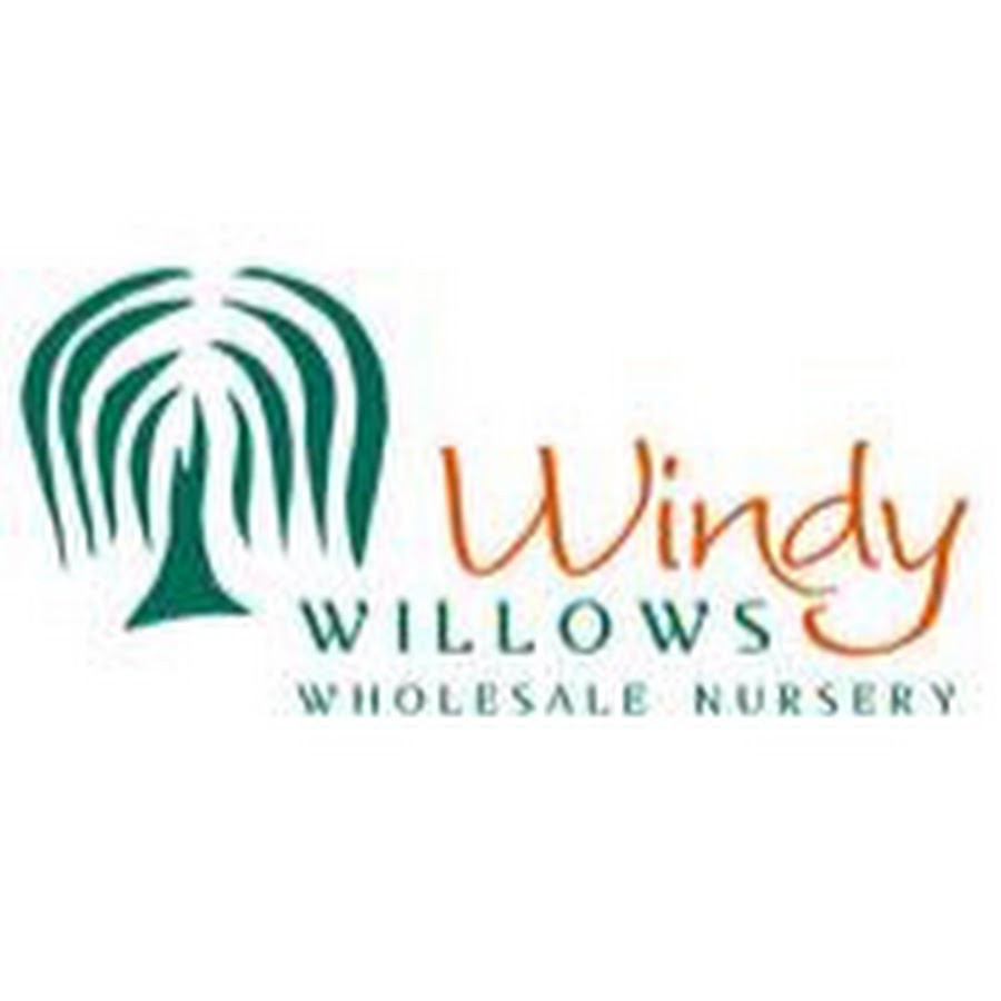 Windy Willows Wholesale Nursery YouTube