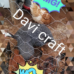 davi craft
