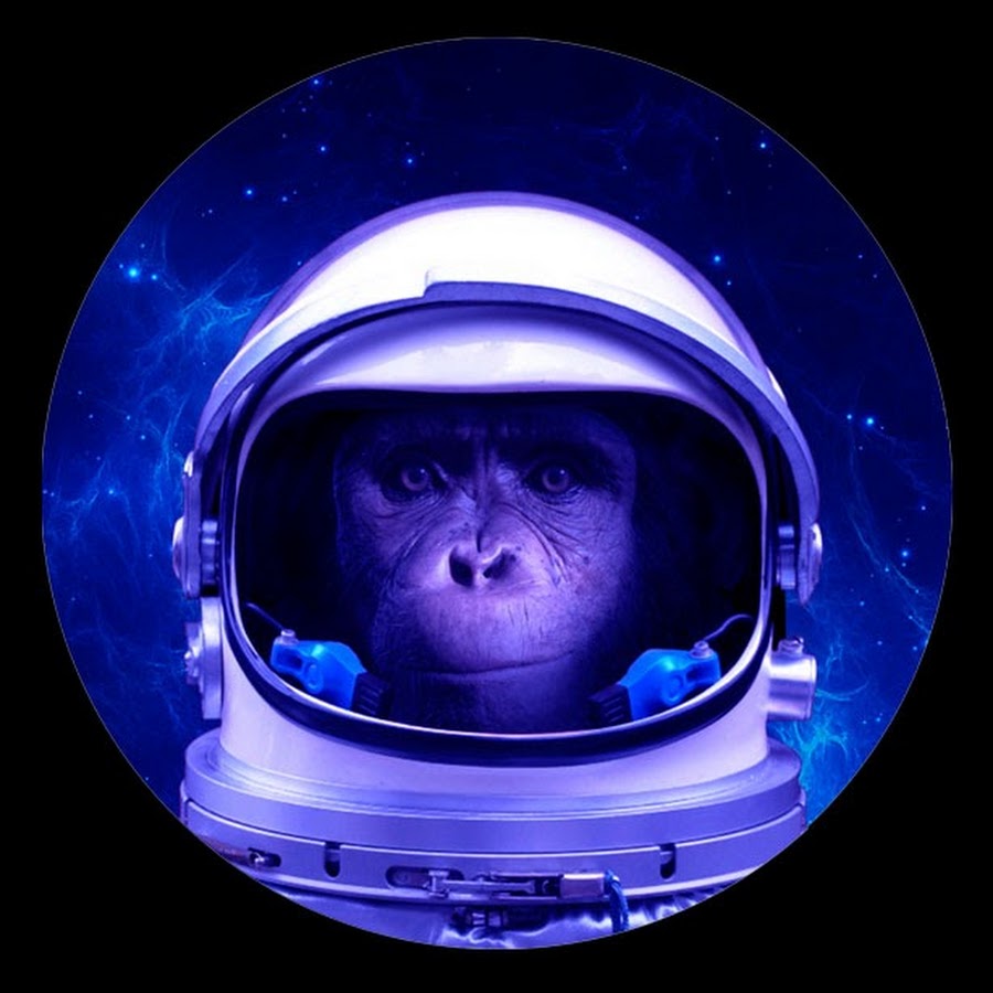 Space monkey. Space Mone. Cosmic Monkey. Space Monkey одноразки. Monkey Space диджей.