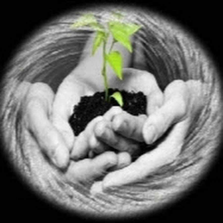 Meaning Business with God 