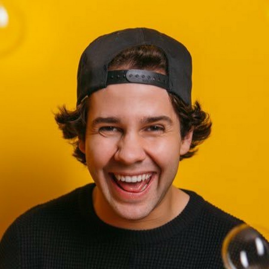 David Dobrik Highlights YouTube