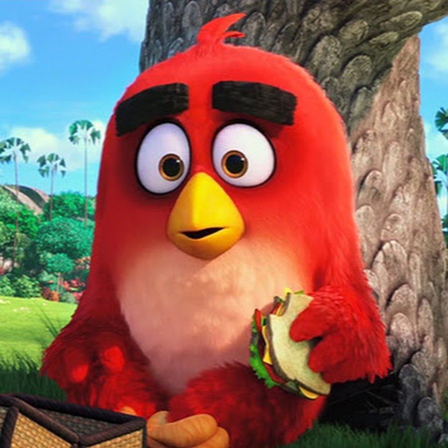 Angry birds 15 15. Игра angry birds 2 теренс. Angry birds 15 15. Angry birds дом. Энгри бердз на пляже.