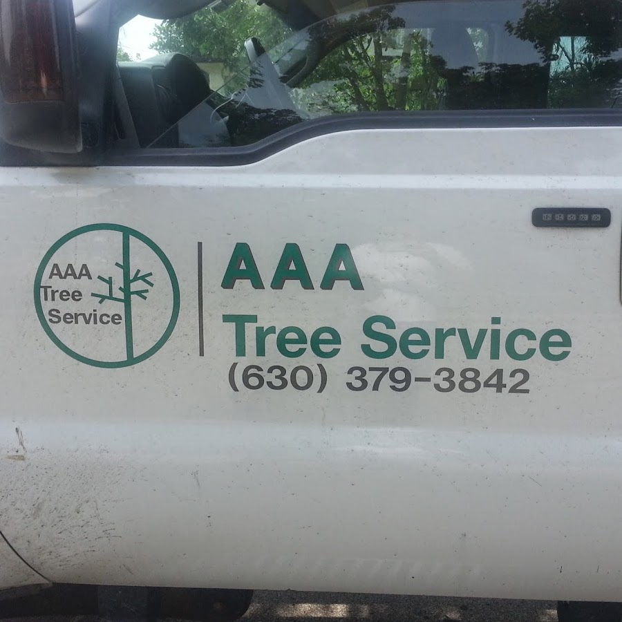 AAA Tree Service YouTube
