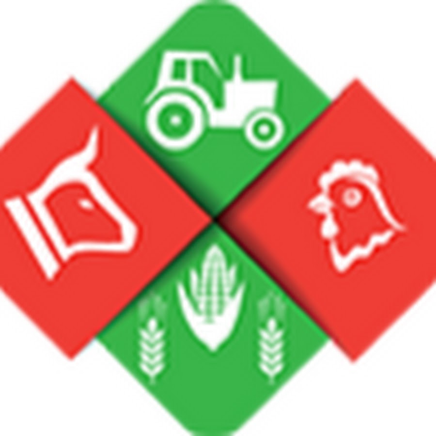 Milletin Efendisi TV YouTube