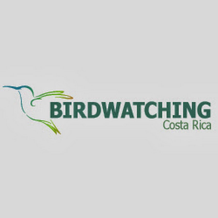 Birdwatching Costa Rica 