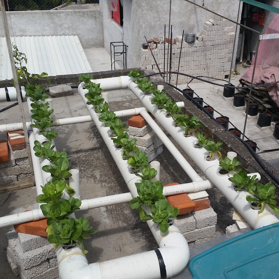 hidropon-a-f-cil-y-casera-youtube