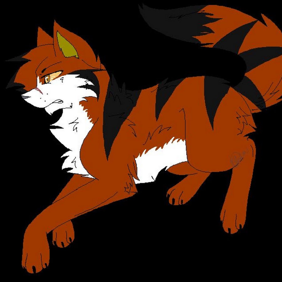 Картинки когтя из котов воителей