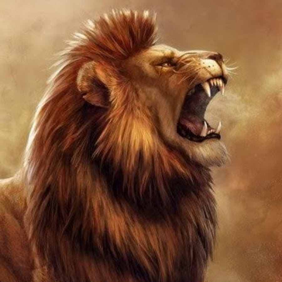 Аслан хроники нарнии. Игры аслан. На игре аслан. Хроники нарнии 2 игра. Влюбленный лев уже не хищник.