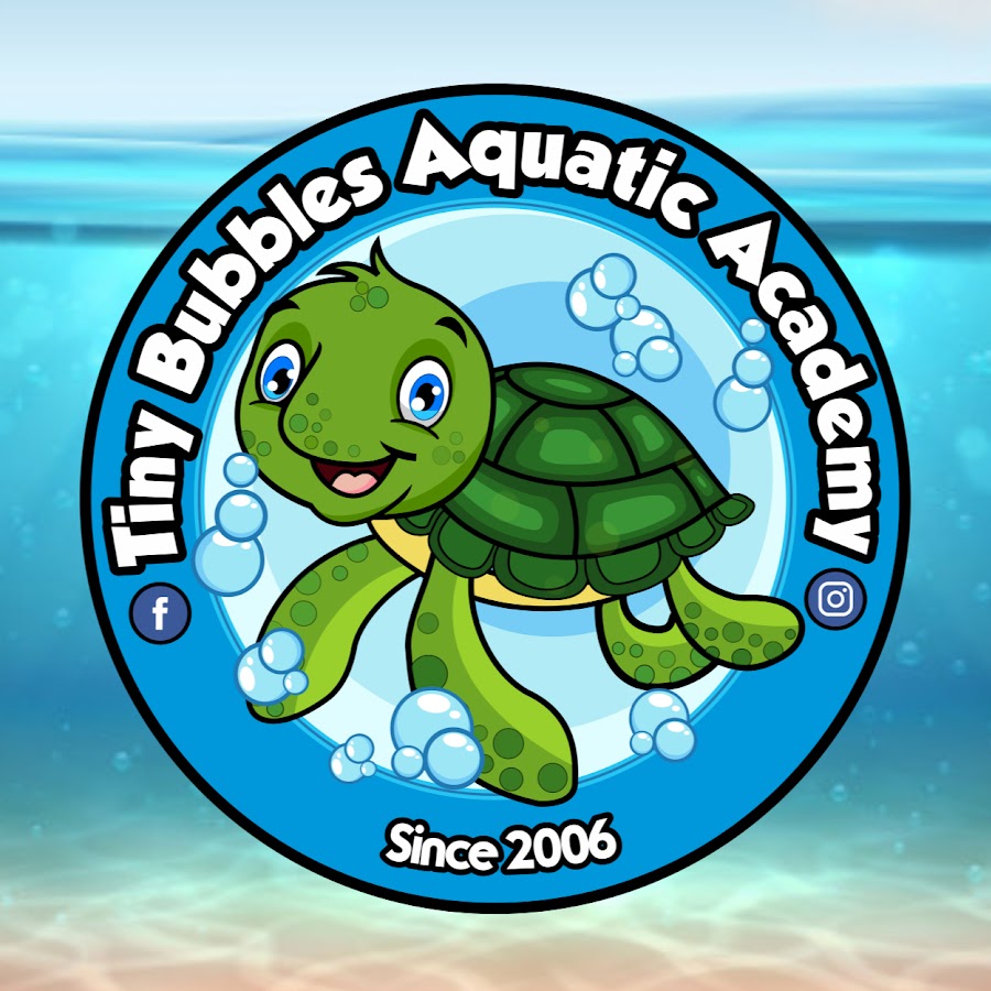 TINY BUBBLES AQUATIC ACADEMY YouTube