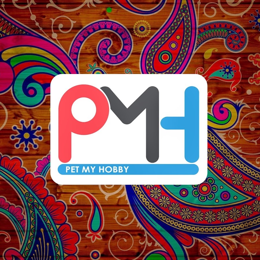 Pet My Hobby - YouTube