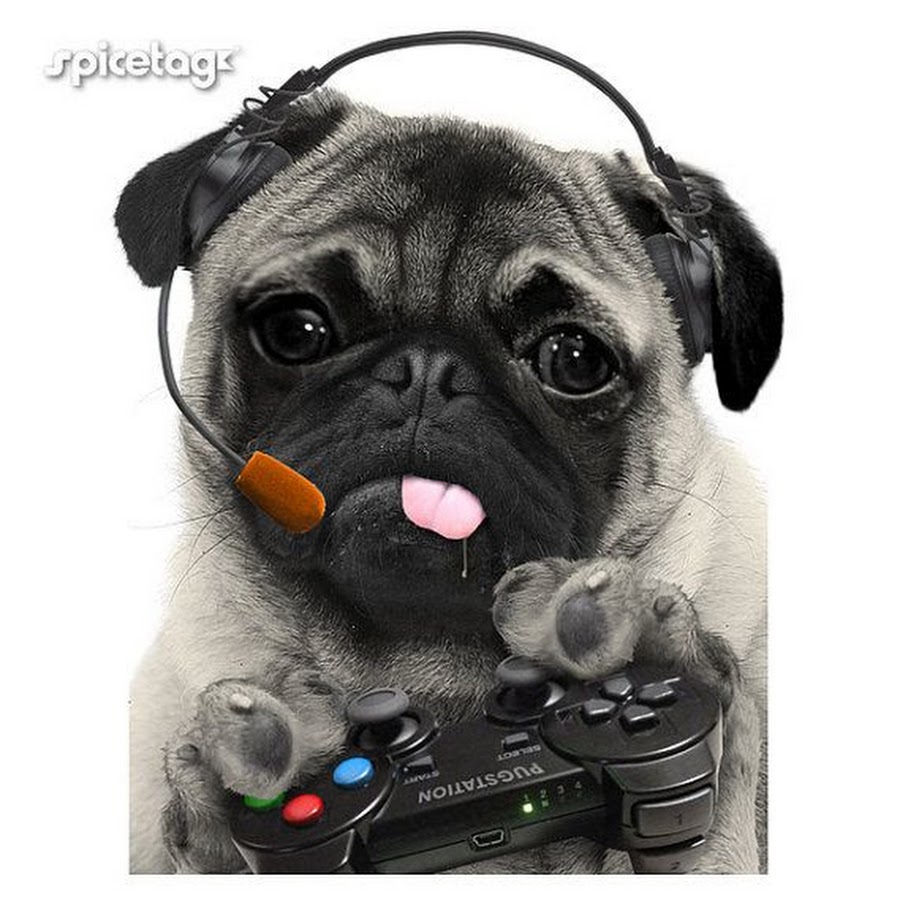 Pugs Gaming YouTube