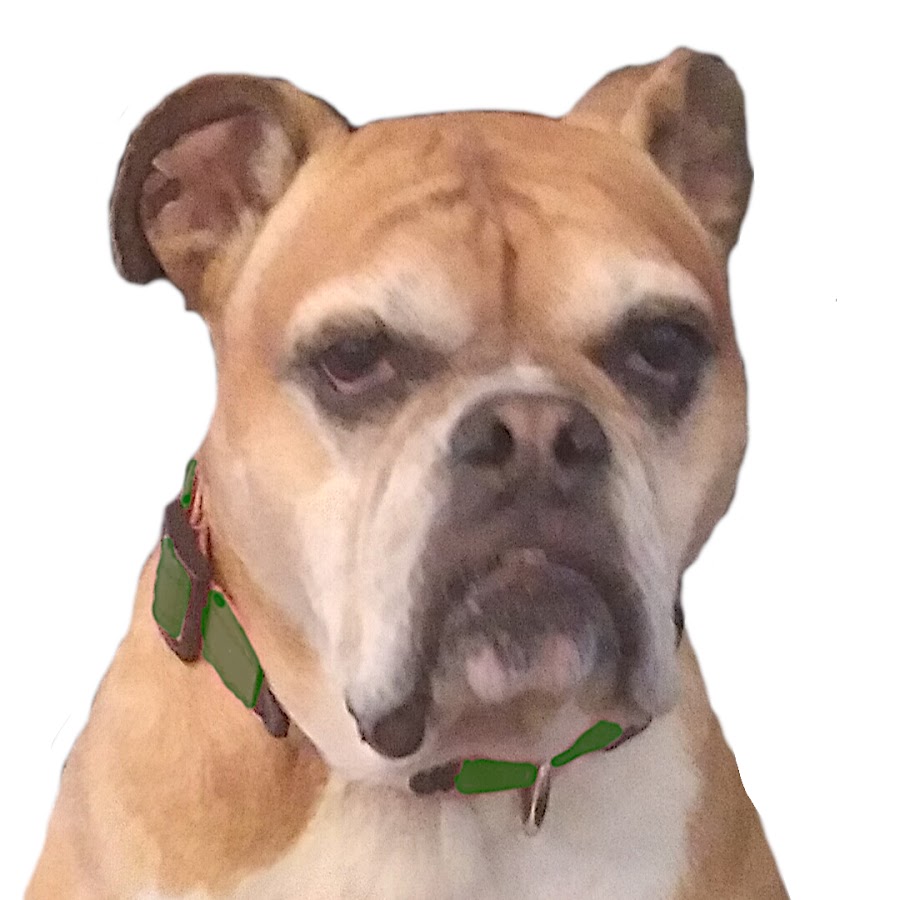 Bedford Presbyterian Church VA YouTube