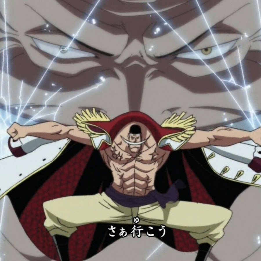 ONE PIECE FANS - YouTube