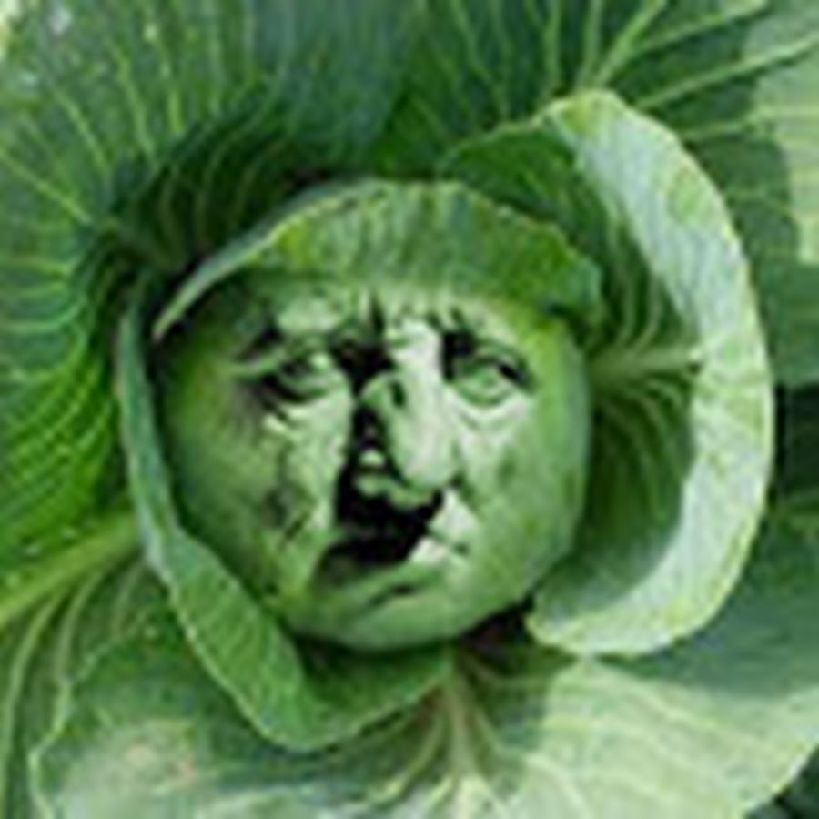 Cabbage Boy YouTube