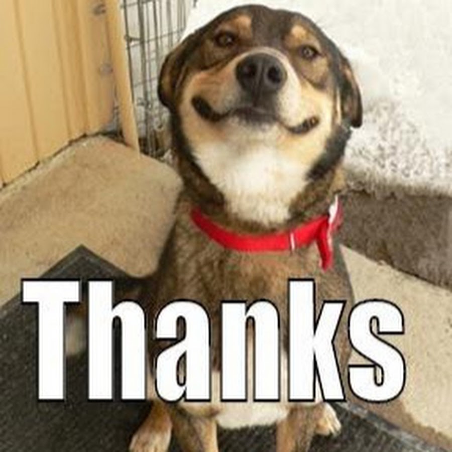 Yes i will thanks. игра would you like some. надпись you can. Yes i will thanks. Yes i will thanks.