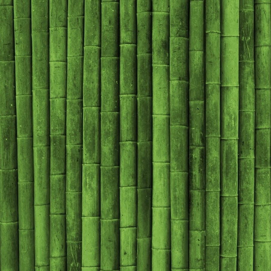 Бамбуковый цвет. Бамбуковый зеленый цвет. Бамбуковый стебель. Текстура древесины бамбука. Бамбуковый цвет.