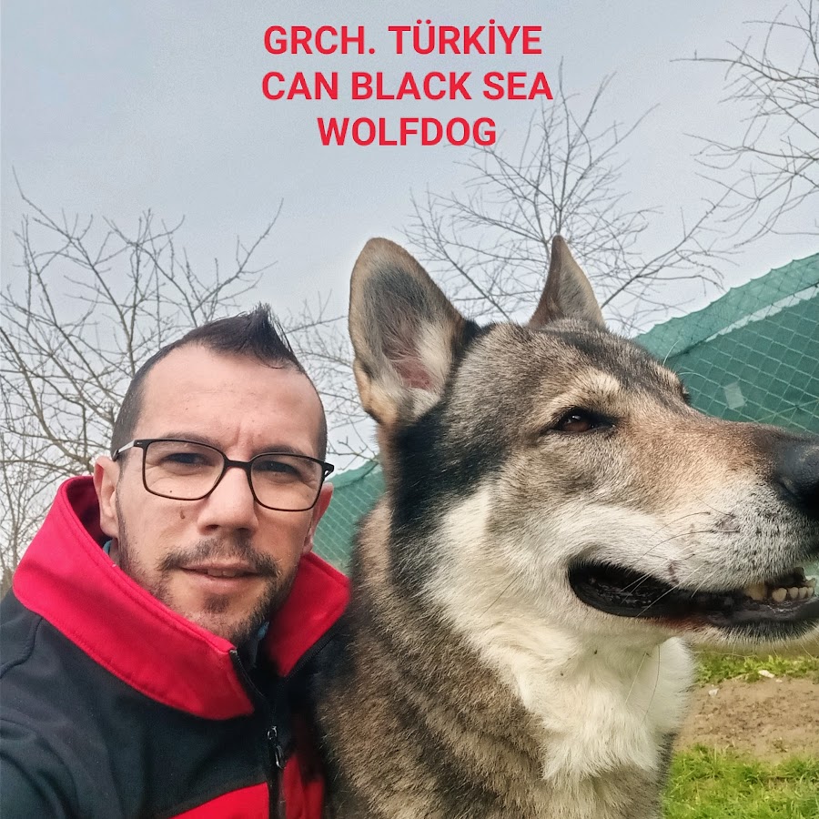 Gürcan Doğaner Köpek Eğitimi ve Pansiyonu YouTube