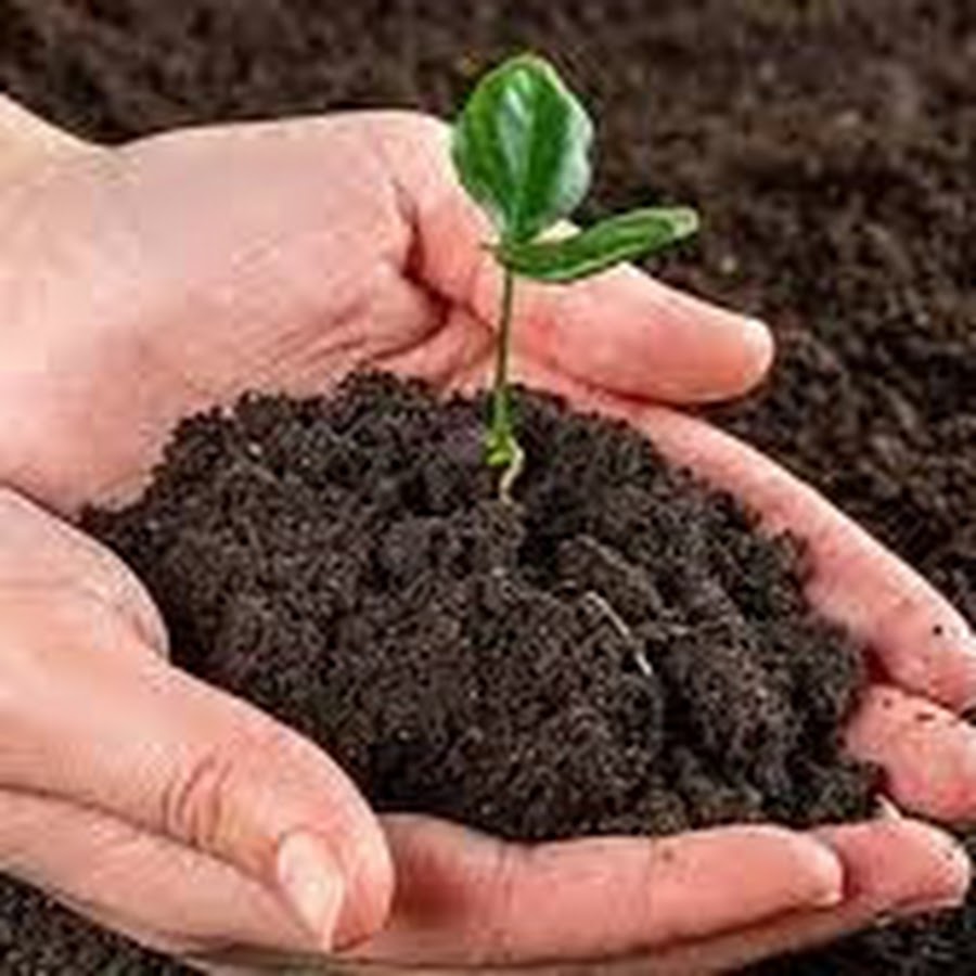 человек и природа. почва всемирная. почвенные биологические удобрения. любовь к природе. рассказать про почву.