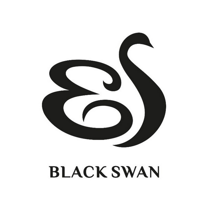 Blackswan Official Net Worth & Earnings (2024)