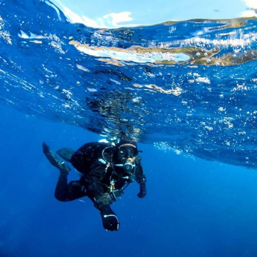 Savio show my homework picture