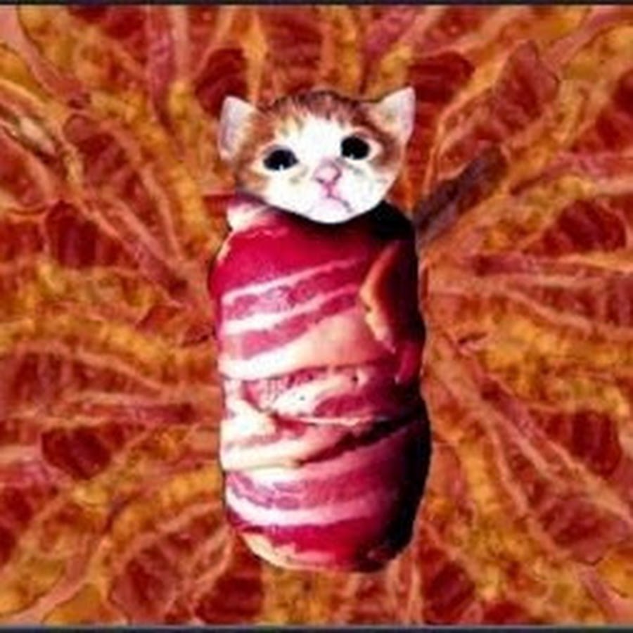 Bacon Cat YouTube