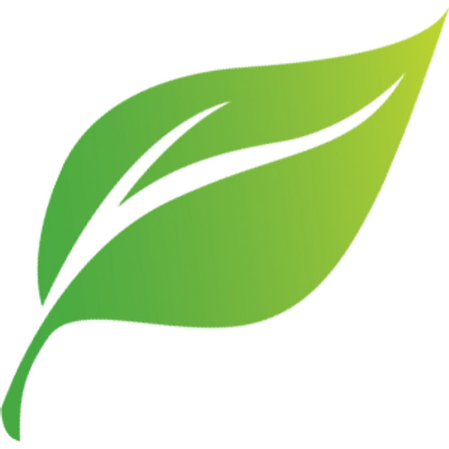Логотип лепесток. Логотип зеленый лист. Векторные листья. Значок эко с листочками. Зеленые листочки.