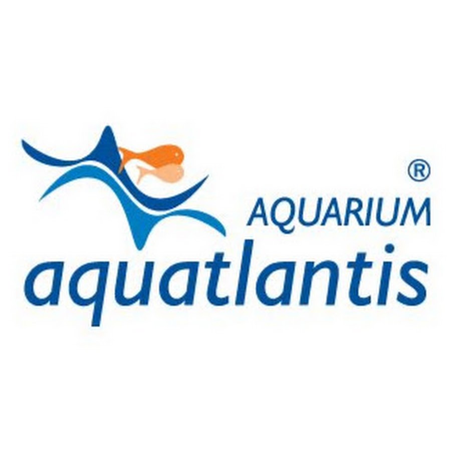 Aquatlantis YouTube