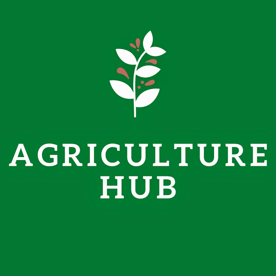 Agriculture Hub YouTube
