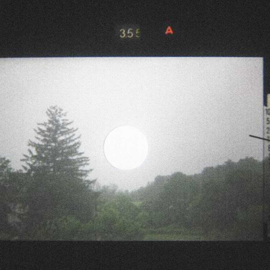 Animal Flag - YouTube