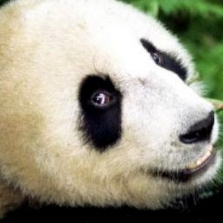 парень девушка playstation