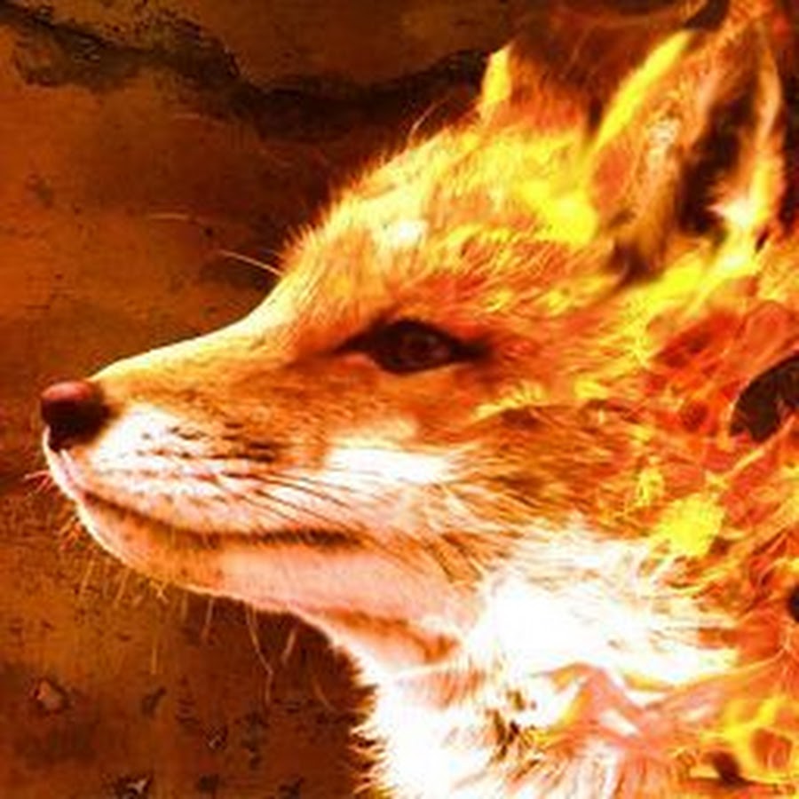 Flaming fox. Лиса в огне. Огненный Лис. Огненные лисы. Огненная лиса.