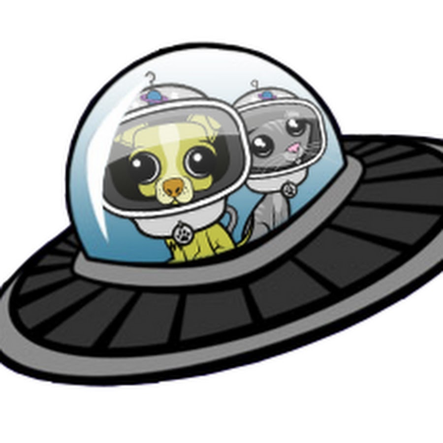 Cosmic Home & Pet - YouTube