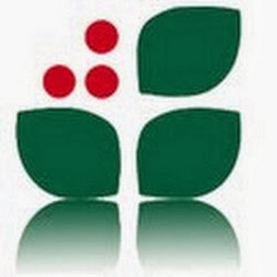 Www Wintergreen Ru Интернет Магазин