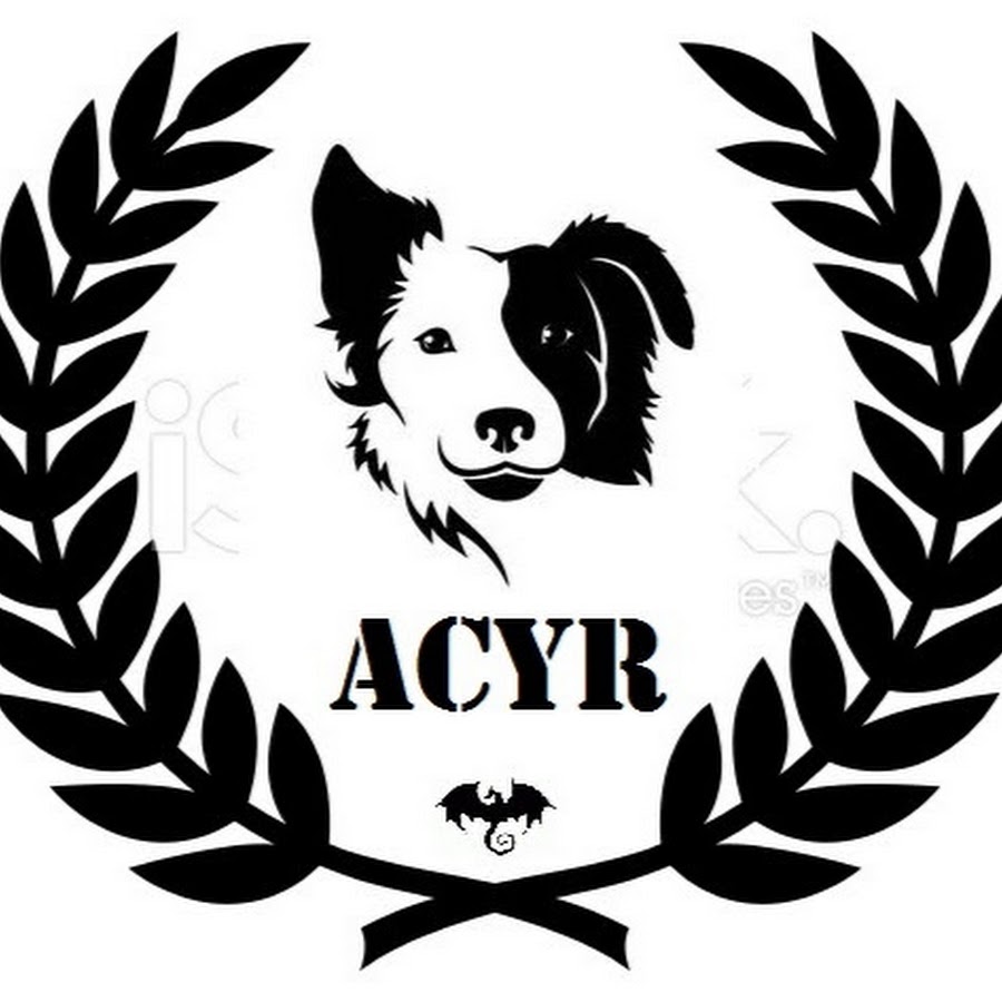 Acyr Vieira - YouTube