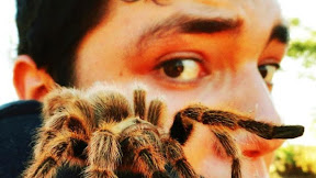 Muci / Muçi: Only Constitutional Court Can Decide My Dismissal - Exit - Explaining Albania