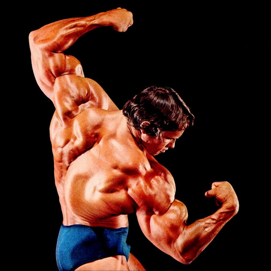 MuscleUp Bodybuilding 