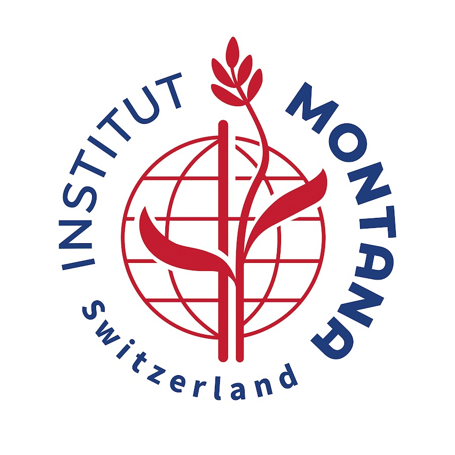 Institut Montana Zugerberg YouTube
