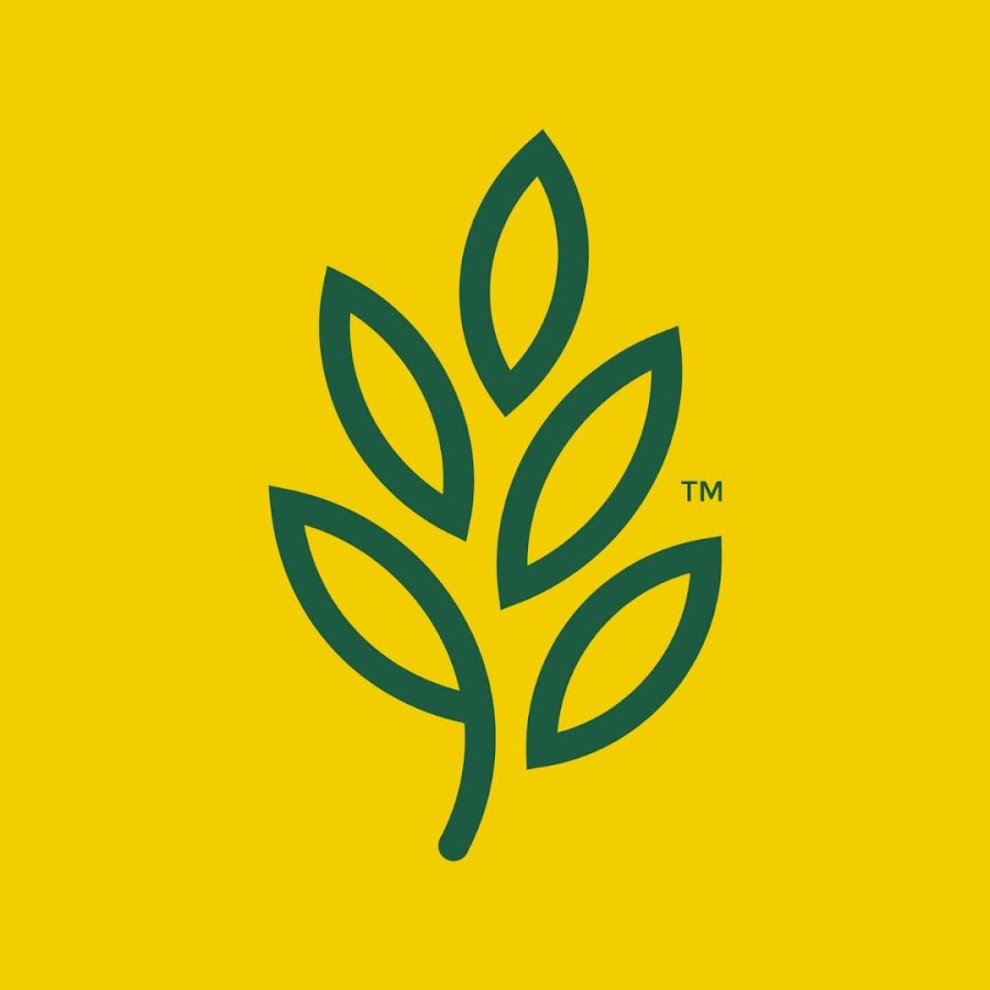 Laurel Springs School YouTube