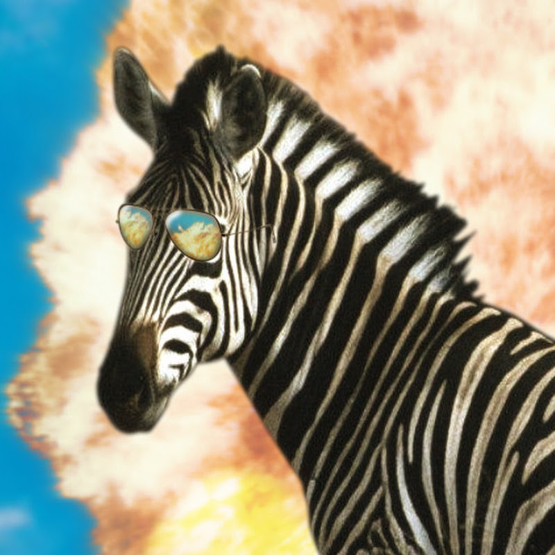 Sneaky zebra